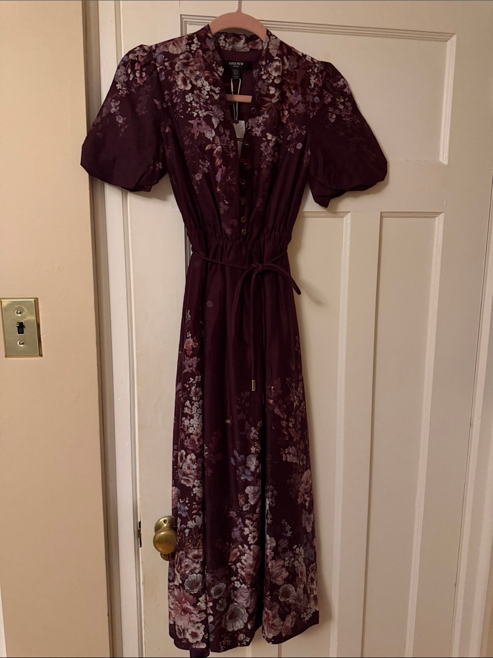 Ever New Plum Floral Maxi Dress with Self Tie